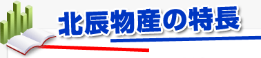 �k�C���Y�̓���