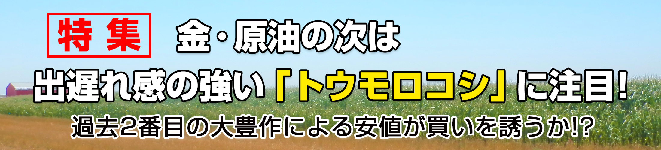 出遅れ感の強い「トウモロコシ」に注目